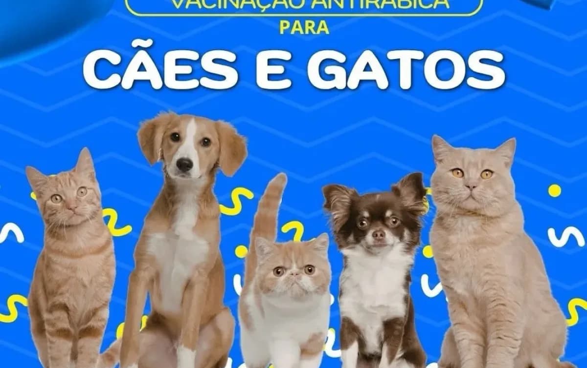 Campanha de vacinação antirrábica animal reforça prevenção em comunidades rurais de Vereda