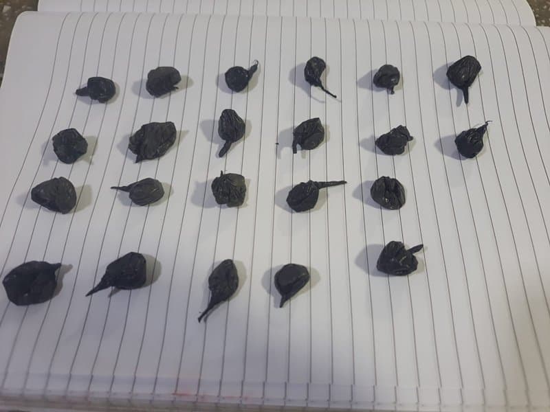 Homem é detido durante patrulhamento no Kaikan Sul