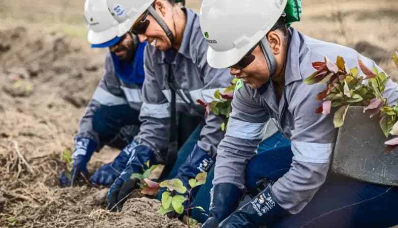 Suzano anuncia vagas operacionais e de manutenção no Extremo Sul