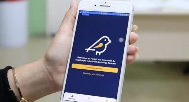 Pardal recebia relatos de propaganda irregular durante campanha de 2026