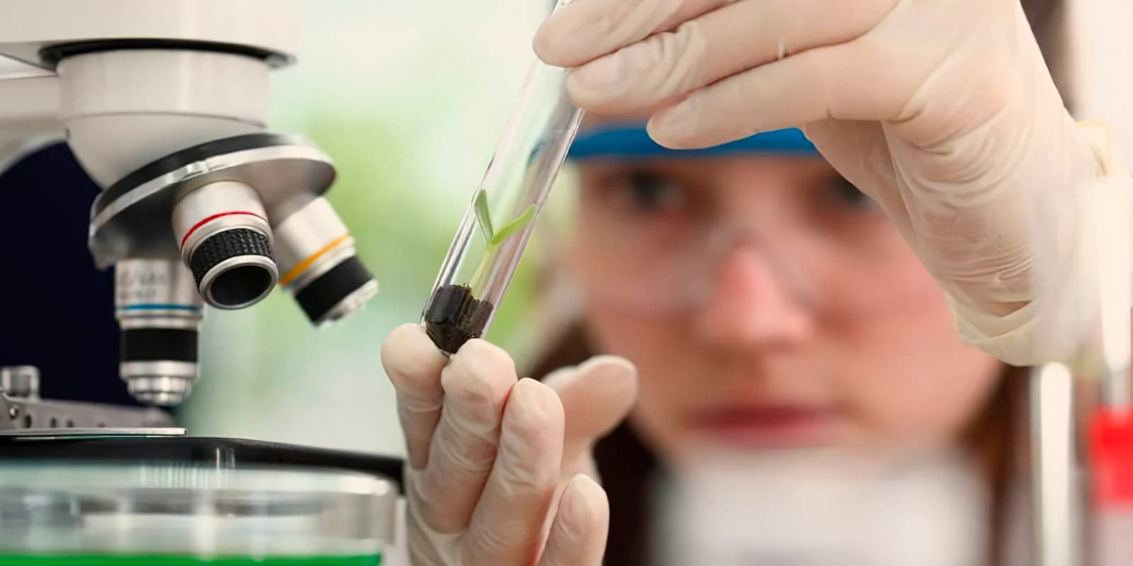 Pesquisadora em laboratório, em foto de arquivo de divulgação da USP utilizada na pauta sobre formação científica.