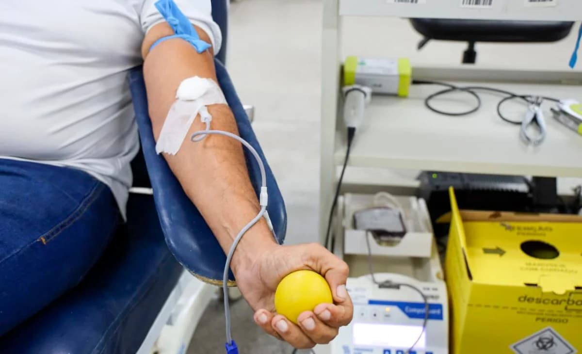 Regulamento de hemoterapia prevê continuidade de doações após os 70 anos