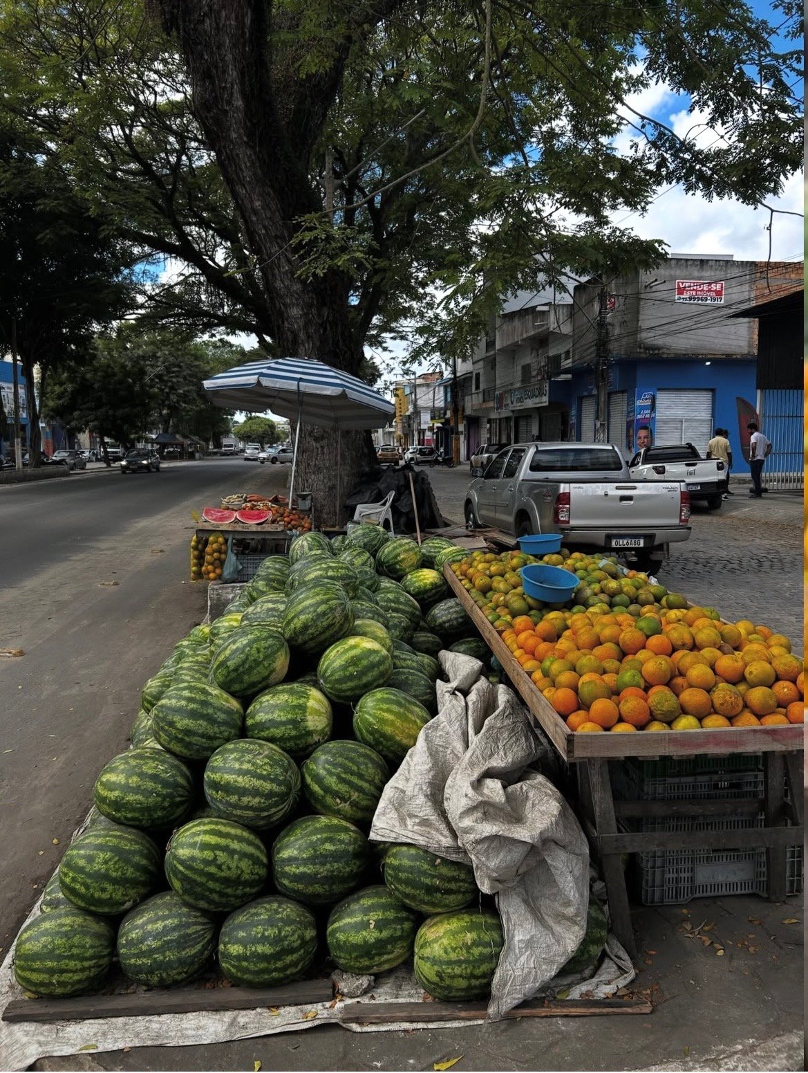 Feirante contesta notificação para retirar barraca de avenida em Teixeira